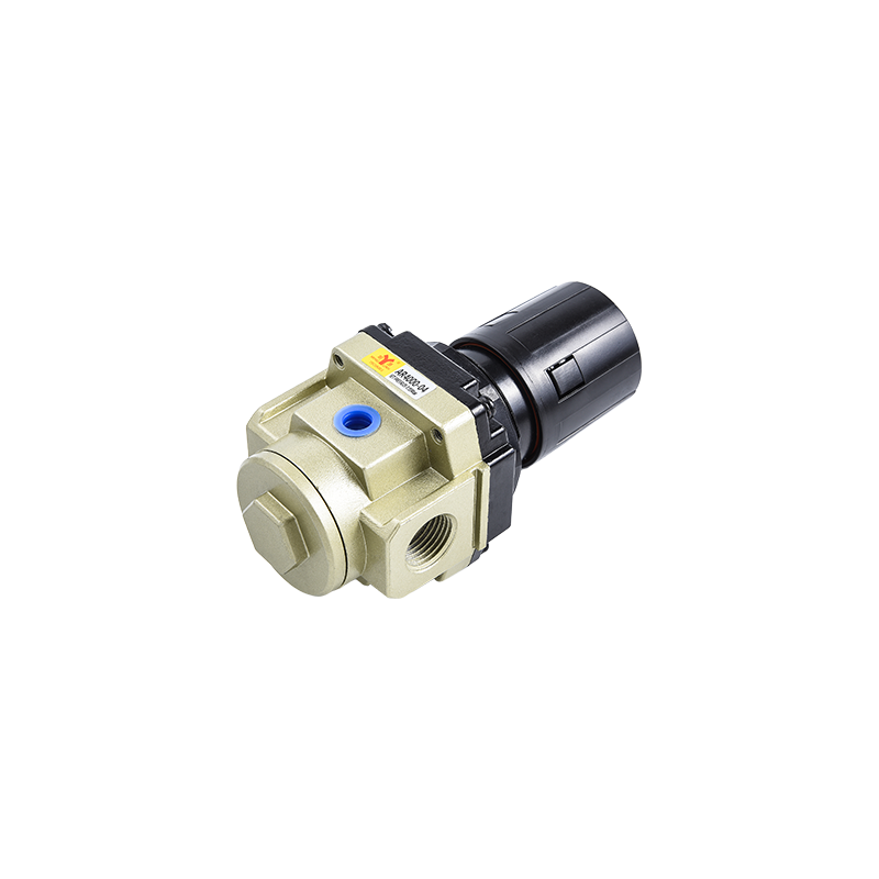 AR Series Relief Valve Of Air Source Processor